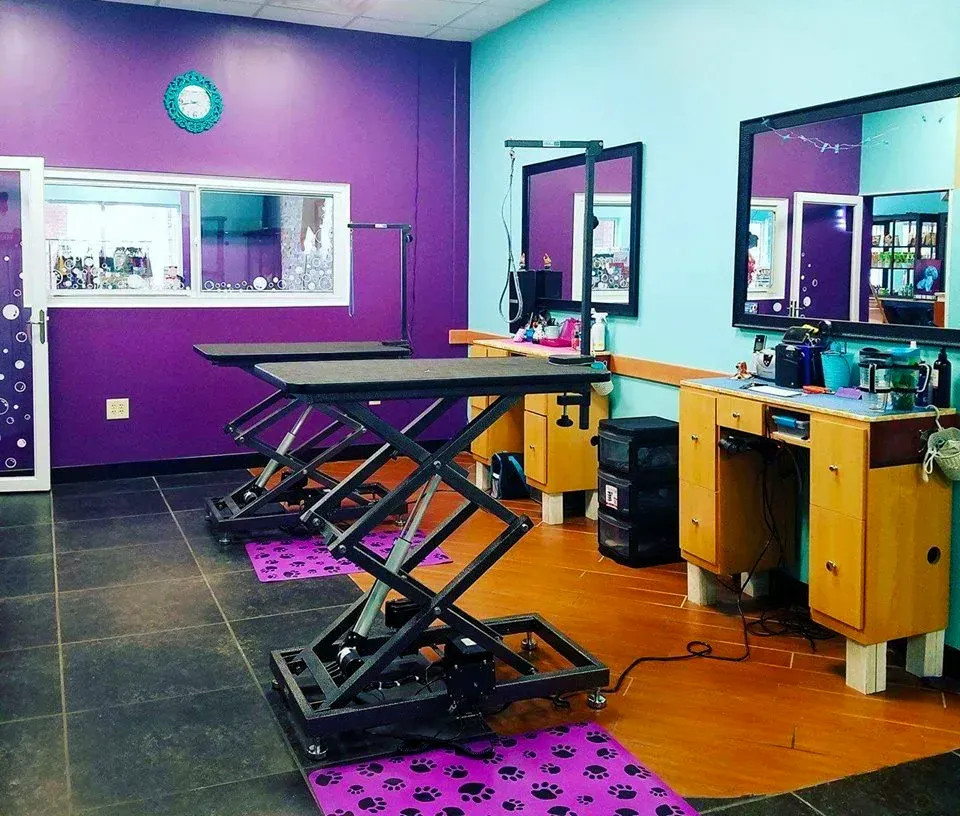 Shaggy Paws Spa, LLC. — Pet Services in New Kent, Virginia