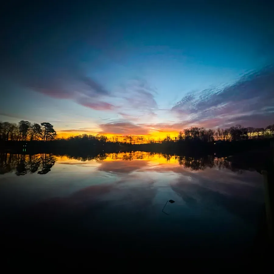 Sirius and the Wren — Reiki Therapists in New Kent, Virginia